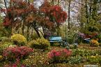 2011-10-18.jpg-210615
