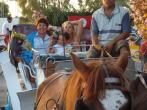 DSC02305.JPG-91718